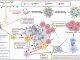 Nanoparticle-enhanced chemo-immunotherapy to trigger robust antitumor immunity