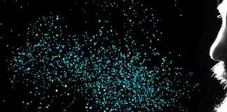 Could singing spread Covid-19?