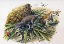 Ancient tiny teeth reveal first mammals lived more like reptiles