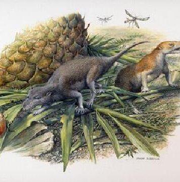 Ancient tiny teeth reveal first mammals lived more like reptiles