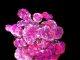 Monash discoveries suggest new breast cancer treatment