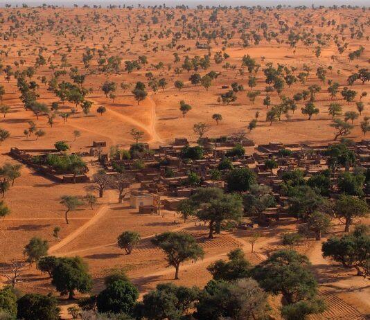 Artificial intelligence reveals hundreds of millions of trees in the Sahara