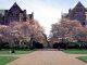 UW jumps two spots to No. 8 in US News Best Global Universities ranking