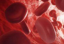 Muscle Pain and Energy-Rich Blood: Cholesterol Medicine Affects the Organs Differently