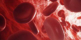 Muscle Pain and Energy-Rich Blood: Cholesterol Medicine Affects the Organs Differently