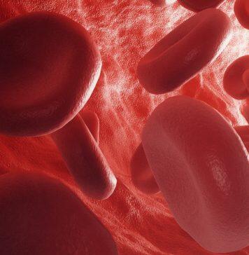Muscle Pain and Energy-Rich Blood: Cholesterol Medicine Affects the Organs Differently