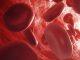 Muscle Pain and Energy-Rich Blood: Cholesterol Medicine Affects the Organs Differently