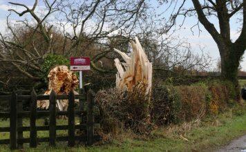 Predicting tornadoes on UK cold fronts for the first time
