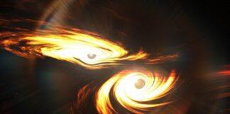 PM’s Science Prize 2020 Winner: Professor Peter Veitch