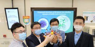 HKU scientists and microbiologists jointly discover a novel antiviral strategy for treatment of COVID-19 using existing metallodrugs