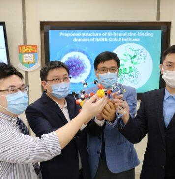 HKU scientists and microbiologists jointly discover a novel antiviral strategy for treatment of COVID-19 using existing metallodrugs