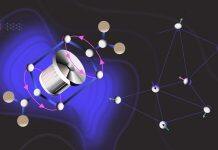 A new candidate material for Quantum Spin Liquids