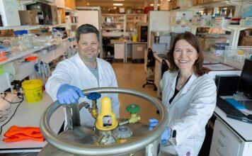 Growing skin in the lab to treat a rare disease