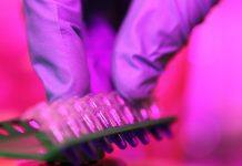 New concept for cancer treatment