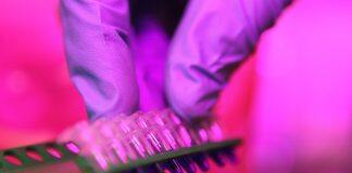 New concept for cancer treatment