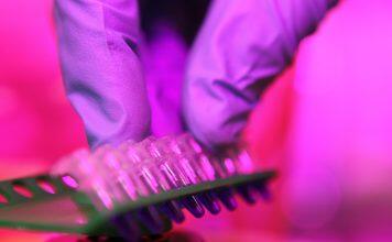 New concept for cancer treatment