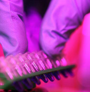 New concept for cancer treatment