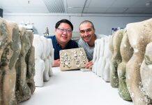 Seawalls’ marine biodiversity enhanced by eco-engineered tiles: CityU study