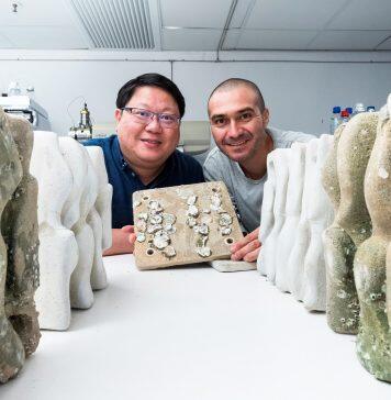 Seawalls’ marine biodiversity enhanced by eco-engineered tiles: CityU study