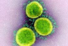 Cambridge-led SARS-CoV-2 genomic surveillance consortium receives £12.2 million