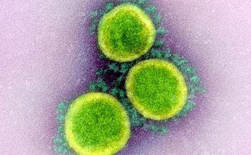 Cambridge-led SARS-CoV-2 genomic surveillance consortium receives £12.2 million