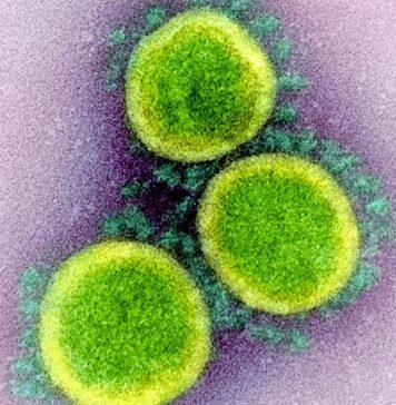 Cambridge-led SARS-CoV-2 genomic surveillance consortium receives £12.2 million