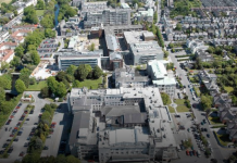 Cork-based research features strongly on world’s elite science list