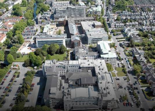 Cork-based research features strongly on world’s elite science list