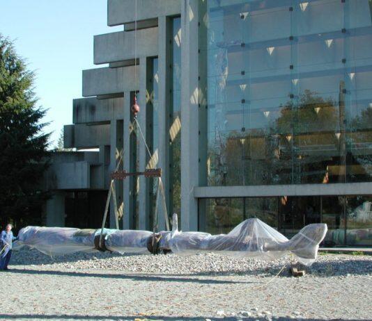 Building resilience around MOA’s irreplaceable collection