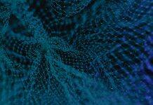 New neural network explains human behaviours from dynamic brain activity