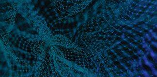 New neural network explains human behaviours from dynamic brain activity