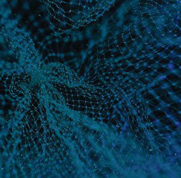 New neural network explains human behaviours from dynamic brain activity