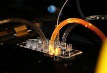 New Danish AI tool provides much-needed help to protein scientists across the world