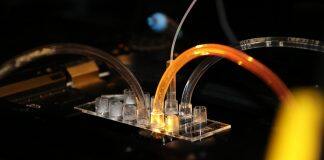 New Danish AI tool provides much-needed help to protein scientists across the world