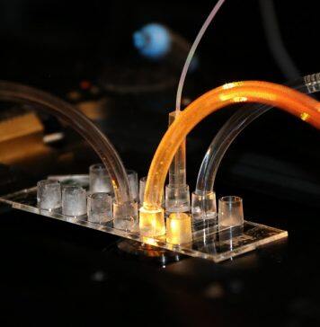 New Danish AI tool provides much-needed help to protein scientists across the world