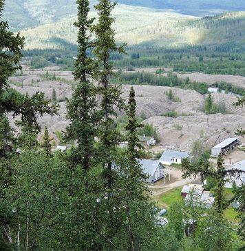 Using tree rings, University of Toronto researchers measure history of mercury contamination in Yukon