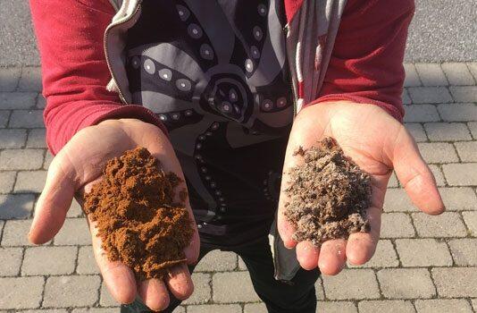 Invisible fungi revealed by their genetic material