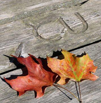 Excellence in international business: A second global accreditation extended for the Sprott School of Business