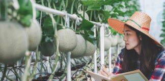 Challenge to accelerate innovation in the food, fibre and agritech sector