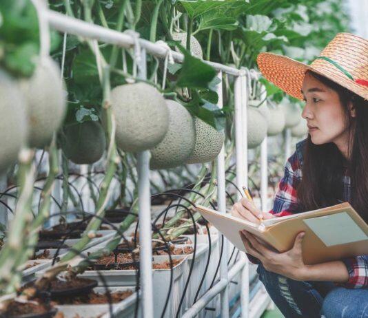 Challenge to accelerate innovation in the food, fibre and agritech sector
