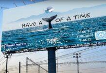 Students have a whale of a time