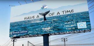 Students have a whale of a time