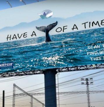 Students have a whale of a time