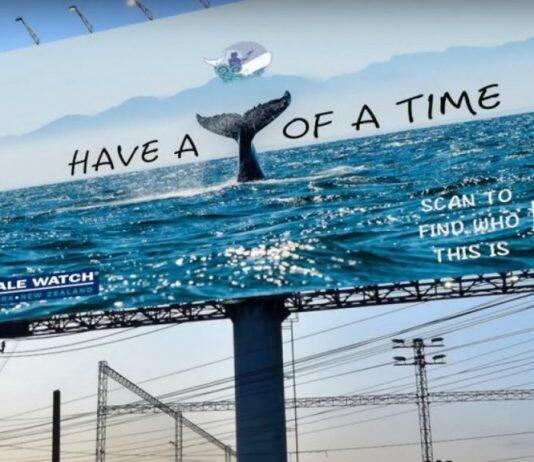 Students have a whale of a time