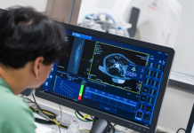 Eminent City University of Hong Kong faculty receive RGC awards