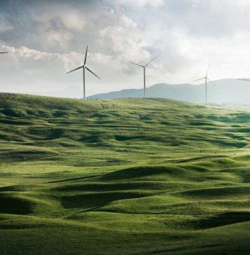Scientists warn of disconnect between guidelines for the European Green Deal and climate goals