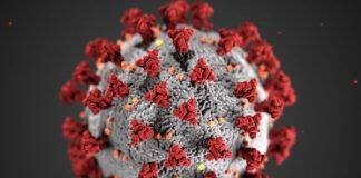 Young adults experience lingering COVID symptoms too