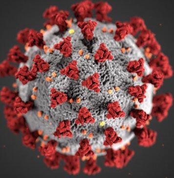 Young adults experience lingering COVID symptoms too