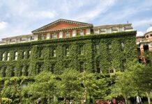 Free NHS coronavirus tests available to all King’s students and staff