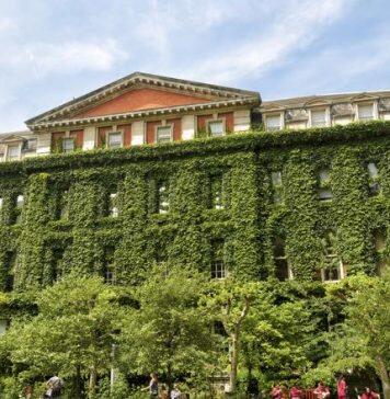 Free NHS coronavirus tests available to all King’s students and staff